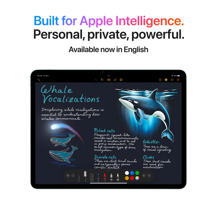 Apple iPad Air 13 M3 Chip, 256GB Storage, Wi-Fi, Space Gray, UAE Version - Image 5