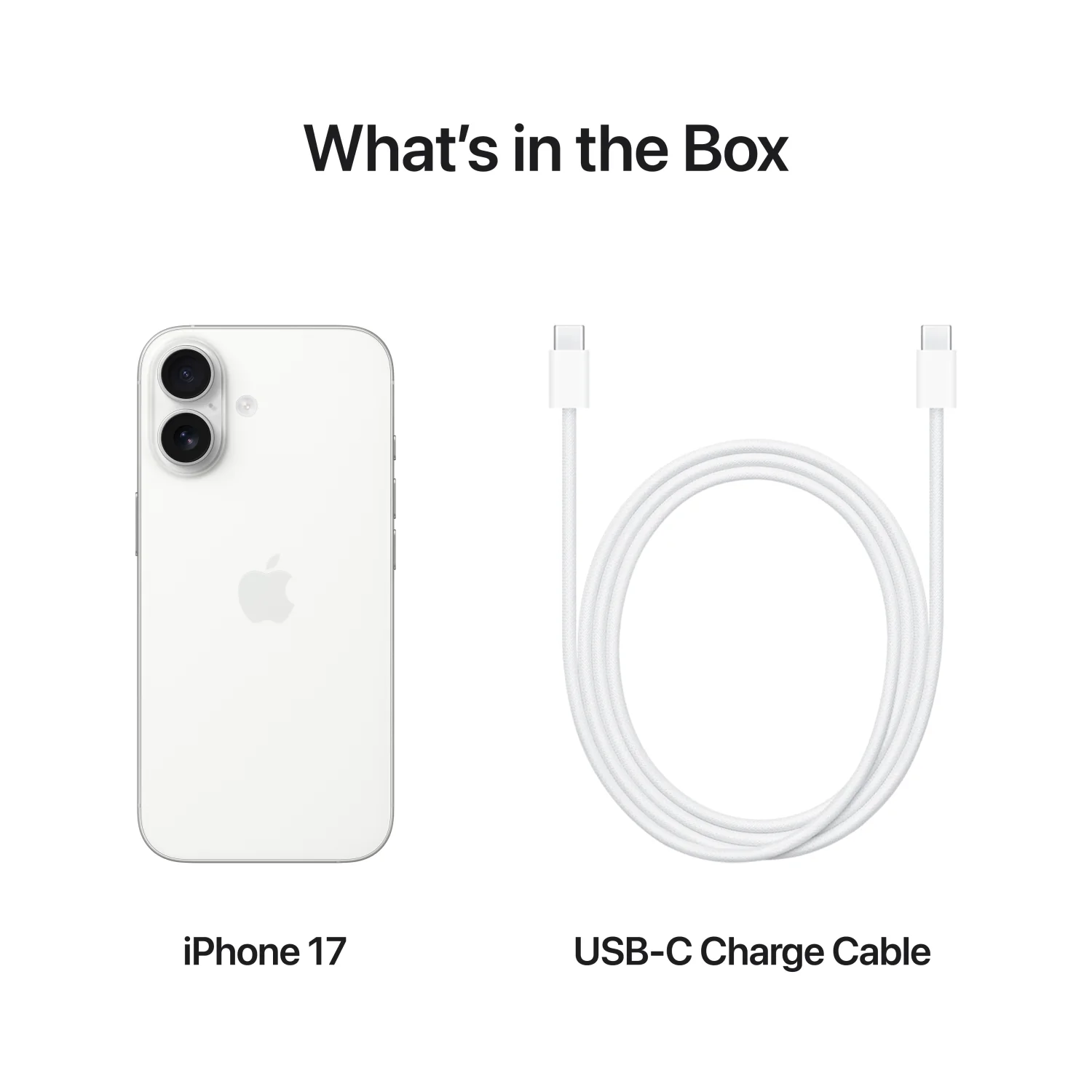 Apple iPhone 17 256GB Storage, Sage - UAE Version - Image 8