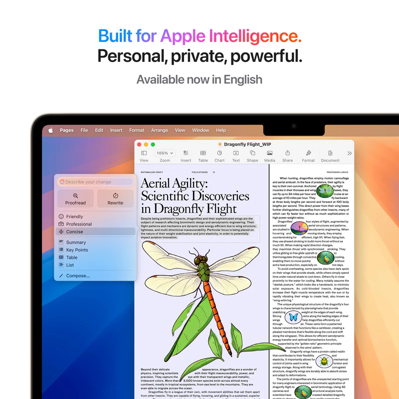 Apple MacBook Air 13, 13.6-inch display, M4, 16GB RAM, 256GB Storage, English-Arabic Keyboard, Starlight (2025) - Image 6