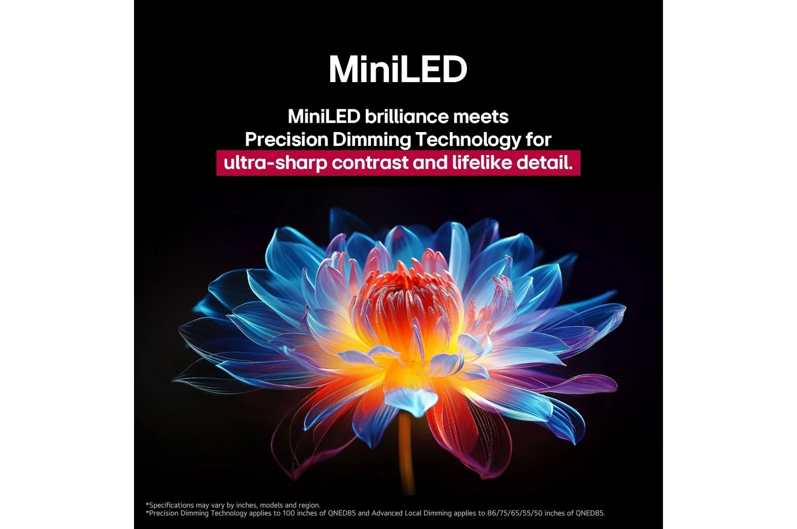 LG 75-inch evo AI QNED86 MiniLED 4K Smart TV with AI, VRR 144Hz, Magic remote, webOS 25, 75QNED86A6A-AMAE (2025) - Image 6